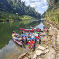 In among true New Zealand Wilderness