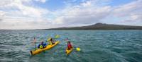 A trip to Auckland is not complete without a kayak and hike of Rangitoto | Miles Holden