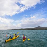 A trip to Auckland is not complete without a kayak and hike of Rangitoto | Miles Holden