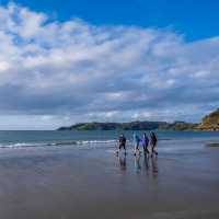 Walkers enjoy a lovely afternoon beach walk on Waiheke | Gabrielle Young