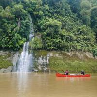 Beautiful natural landscapes await on the Whanganui Journey