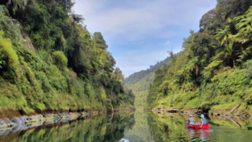 Pristine and relaxing nature along the Whanganui Journey