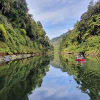 Pristine and relaxing nature along the Whanganui Journey