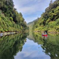 Pristine and relaxing nature along the Whanganui Journey