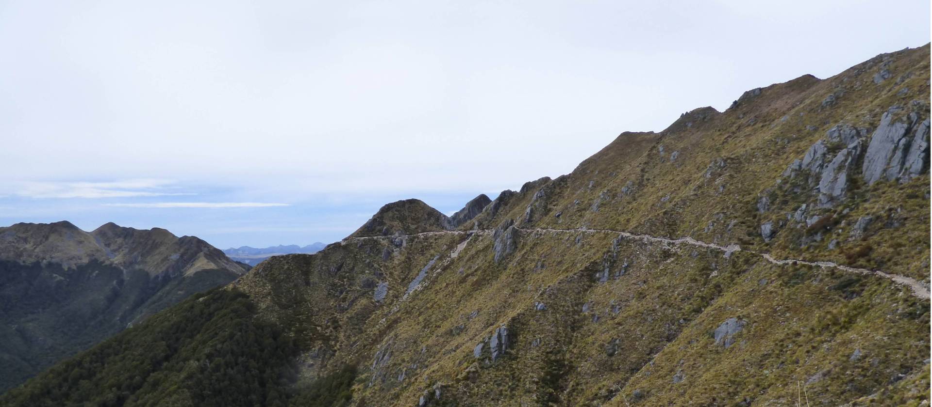 old ghost road mtb