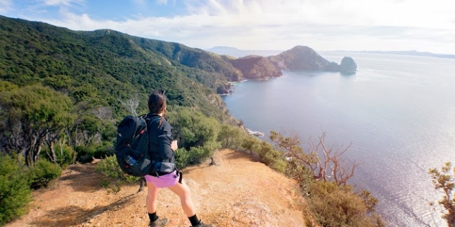 Taking in the stunning Coromandel coastline