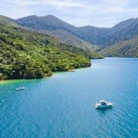 The tranquil waters of Endeavor Inlet | MarlboroughNZ