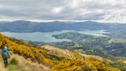 Exploring farm tracks on the Banks Peninsula