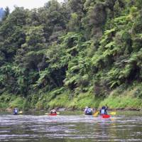 Group canoeing down the Whanganui River