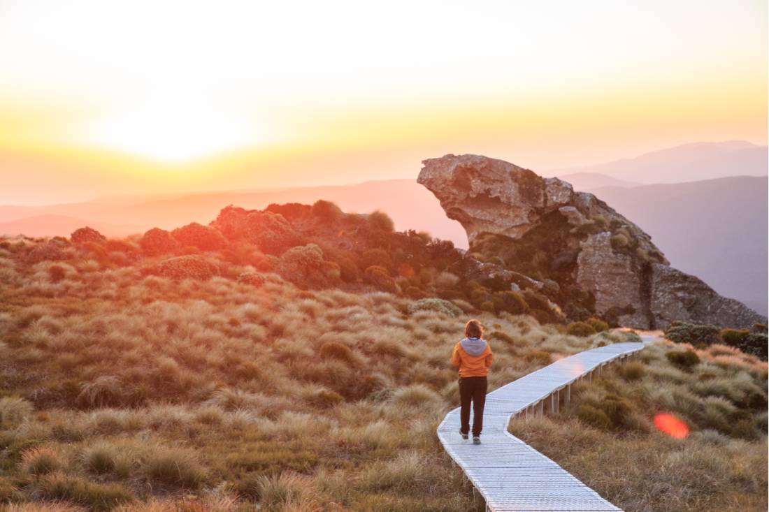 Hump Ridge - Great South |  Liz Carlson