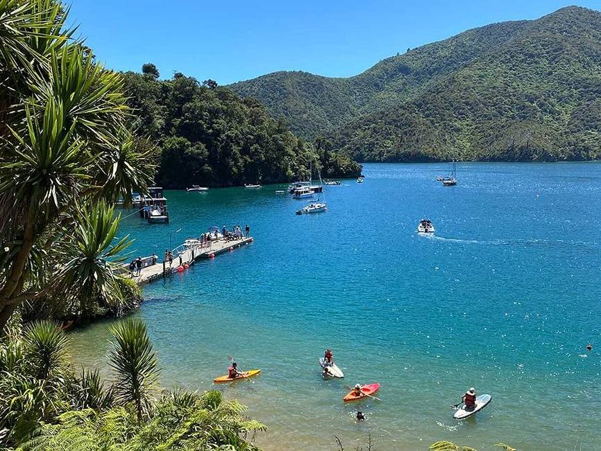 Enjoying a kayak in Abel Tasman National Park