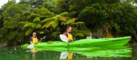 Couple kayaking in the Marlborough Sounds | Marlborough NZ