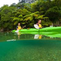 Couple kayaking in the Marlborough Sounds | Marlborough NZ