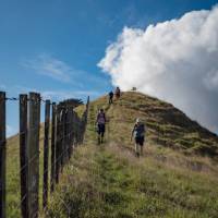 What goes up must come down - rolling hills of the Waikato Valley