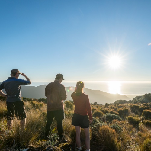 Overlooking the West Coast on the Paparoa Track