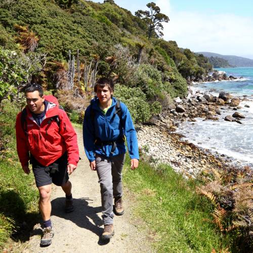 Rakiura Track - Southland, New Zealand