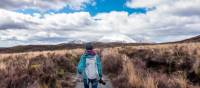 Always ideal to have your camera on the ready in Tongariro National Park | Thomas Schweighofer