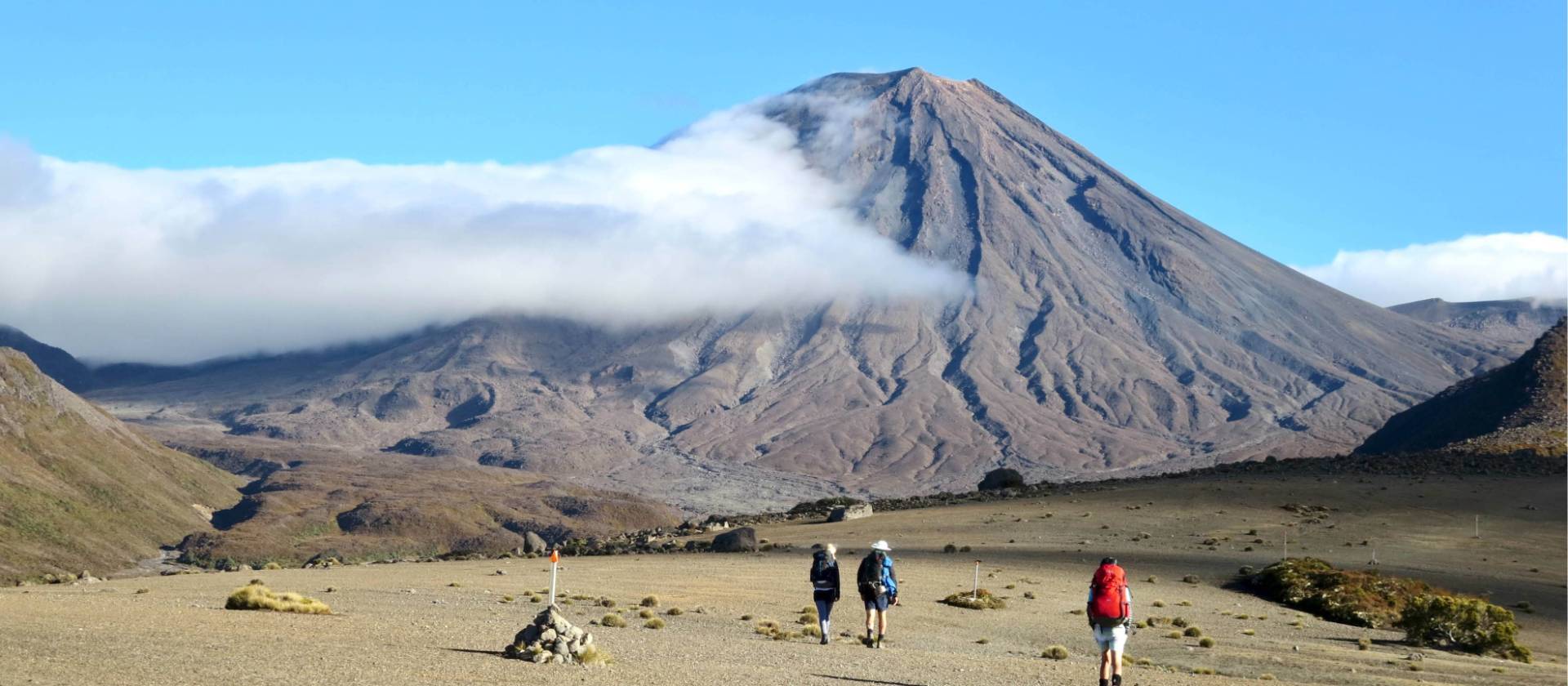 Guided tongariro alpine crossing best sale