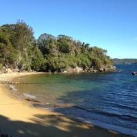 Predator-free Ulva Island off Stewart Island | Janet Oldham