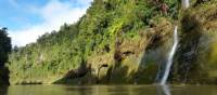 Some of the stunning nature along the Whanganui Journey