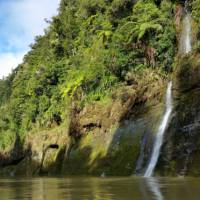 Some of the stunning nature along the Whanganui Journey