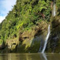 Some of the stunning nature along the Whanganui Journey