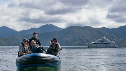 Zodiac cruising near Blumine Island | Fiona Wardle