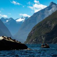 Zodiac cruising in Fiordland | Chris Todd