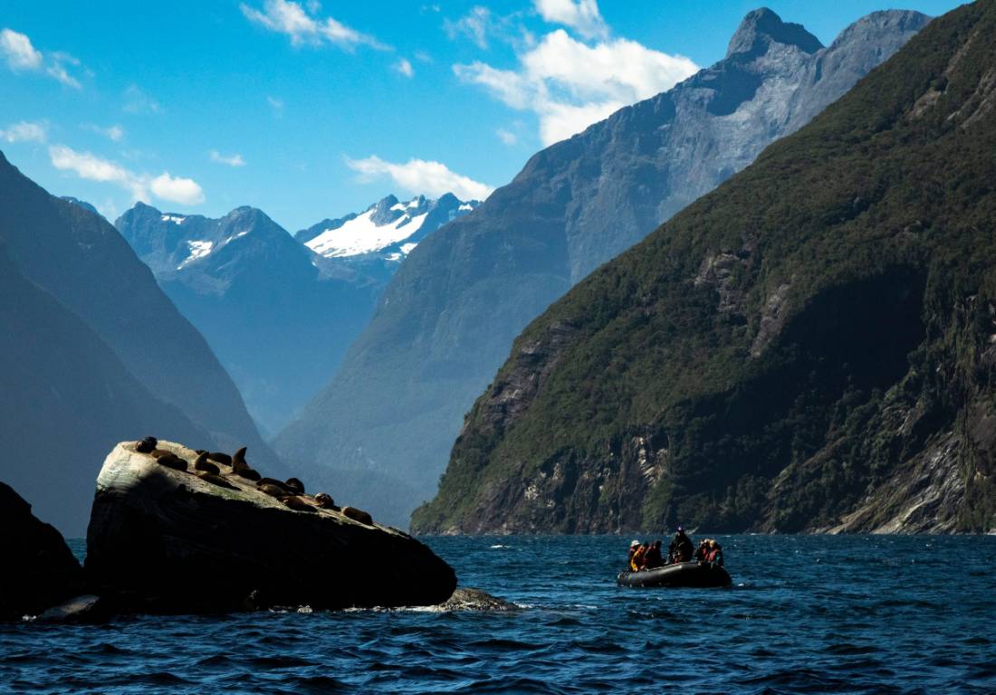 Zodiac cruising in Fiordland |  Chris Todd