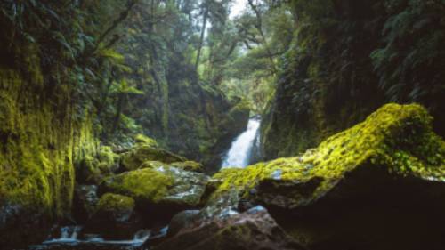 The beauty of Fiordland | Neville Porter