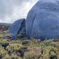 Walking on Stewart Island | L Wilson