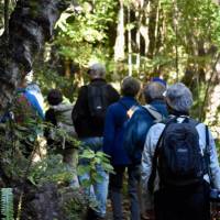 Walking on Ulva Island | H Dohn