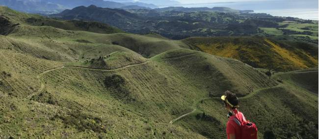 Admiring the rolling farmland hills along the Kaikoura Coast Track | Janet Oldham