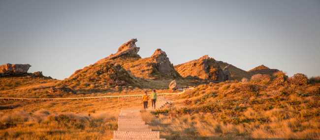 Stairway to Heaven on the Hump Ridge Track | Liz Carlson