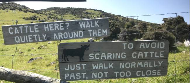 Don't walk too close - a sign warning about local wildlife on the Banks Peninsula | Janet Oldham