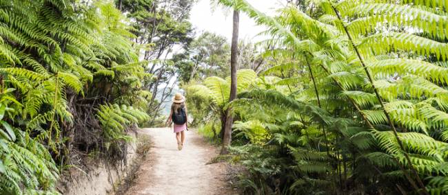 Enjoying the solitude of the Abel Tasman Coast Track | abeltasman.com